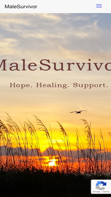 malesurvivor.org