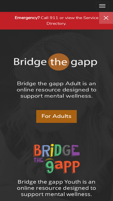 bridgethegapp.ca