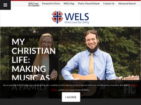 'wels.net' screenshot