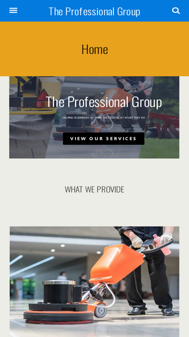theprofgroup.com