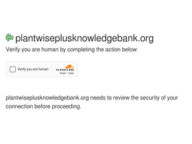 plantwiseplusknowledgebank.org