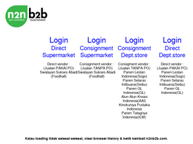 'n2nb2b.com' screenshot
