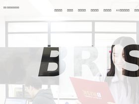 'b-risk.jp' screenshot