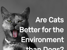 'funeral.com' screenshot