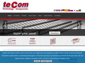 tecomsrl.it