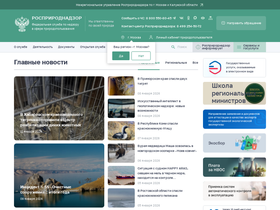 'rpn.gov.ru' screenshot