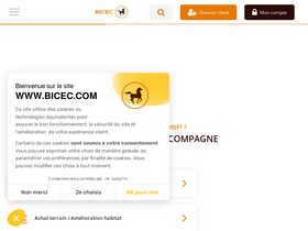 'bicec.com' screenshot