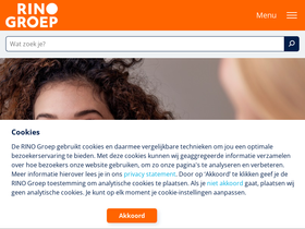 'rinogroep.nl' screenshot