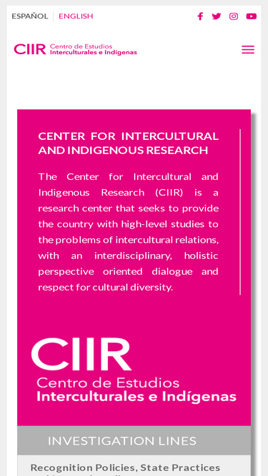 ciir.cl
