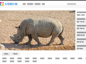 'ivsky.com' screenshot