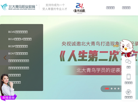 'bdqn.cn' screenshot