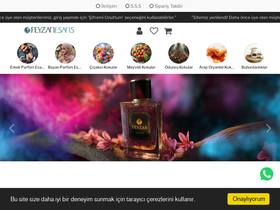 'feyzanesans.com' screenshot