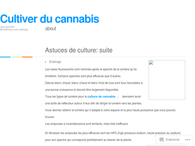 cultiverducannabis.wordpress.com