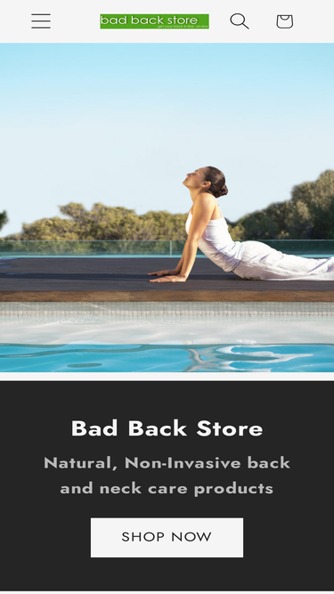 badbackstore.com