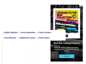 'bilgiyelpazesi.com' screenshot