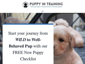 'puppyintraining.com' screenshot