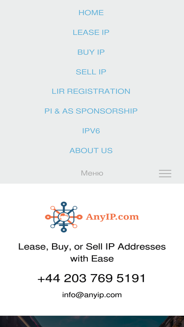 anyip.com