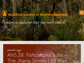 'bswa.org' screenshot