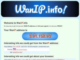 wanip.info