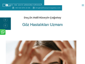 'halilhuseyincagatay.com' screenshot