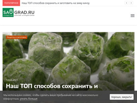 'sadgrad.ru' screenshot