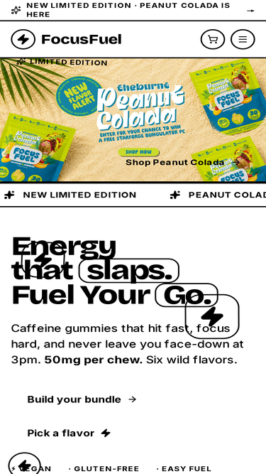 thefocusfuel.com