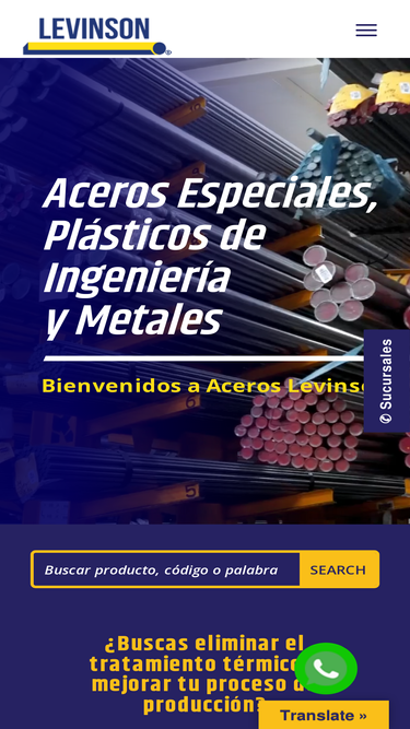 plasticoslevinson.com