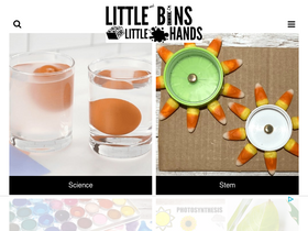 'littlebinsforlittlehands.com' screenshot