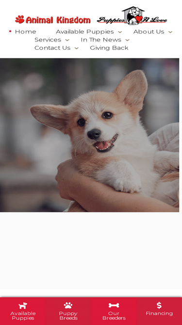 animalkingdomaz.com