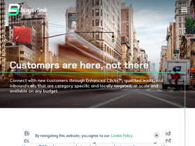 'buyerlink.com' screenshot
