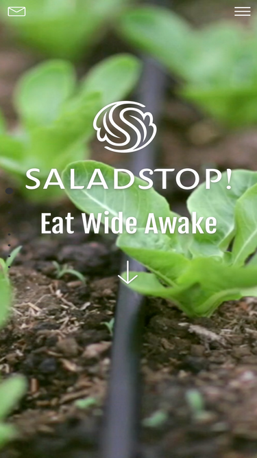 saladstop.co.id