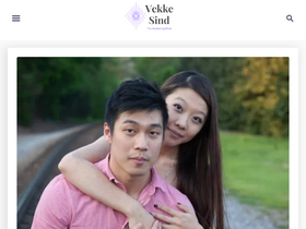 'vekkesind.com' screenshot