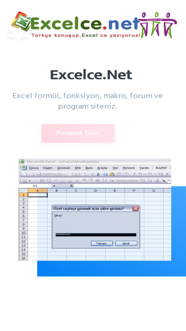 excelce.net