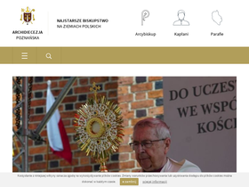 'archpoznan.pl' screenshot