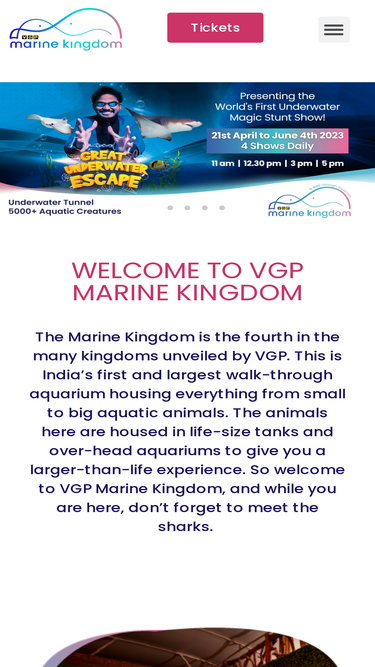 vgpmarinekingdom.in