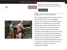'cheapundies.com' screenshot