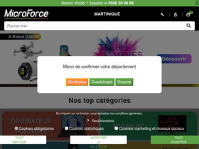 'microforce.biz' screenshot