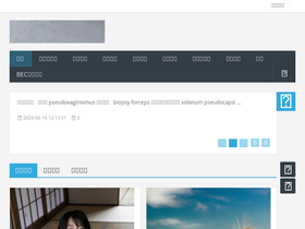 'zhaoshayou.com' screenshot