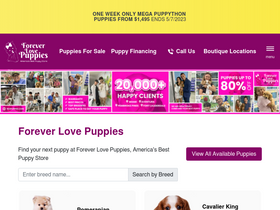 954puppies.com