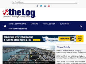 'thelog.com' screenshot
