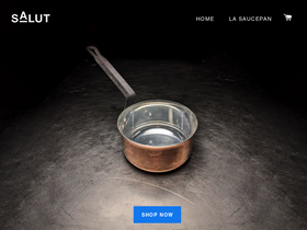salutcompany.com homepage screenshot