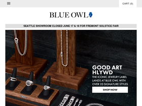 'blueowl.us' screenshot