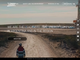 'pan-energy.com' screenshot