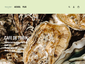 cafedeturin.fr homepage screenshot
