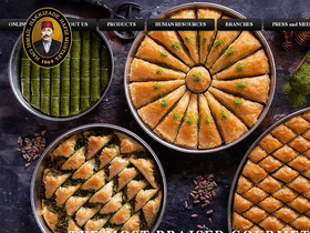 'hafizmustafa.com' screenshot