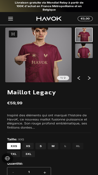 teamhavok.fr