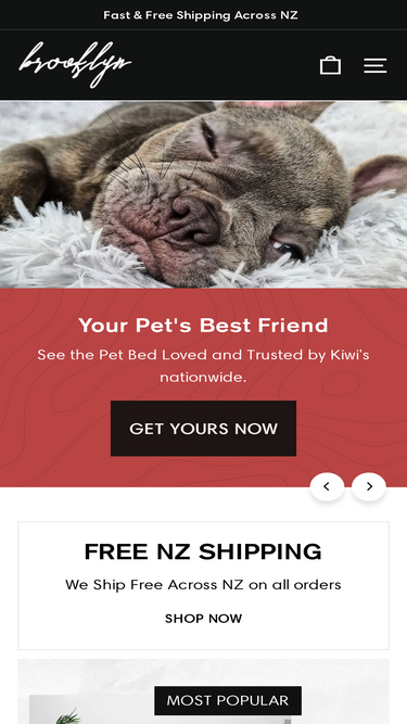 thebrooklyn.co.nz