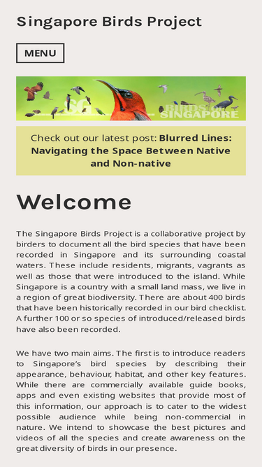 singaporebirds.com