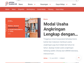 'pintarjualan.id' screenshot