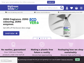 'biggreensmile.com' screenshot